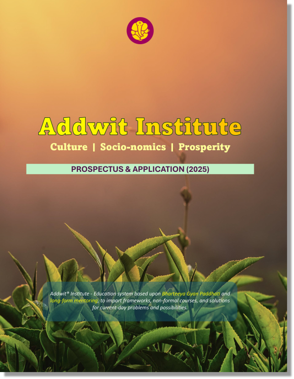 Addwit Institute Prospectus (2025)